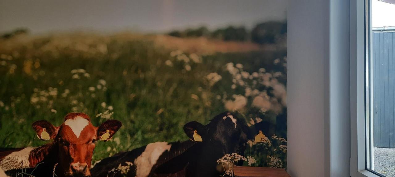 Вилла La Vache Au Lit Дамме Экстерьер фото