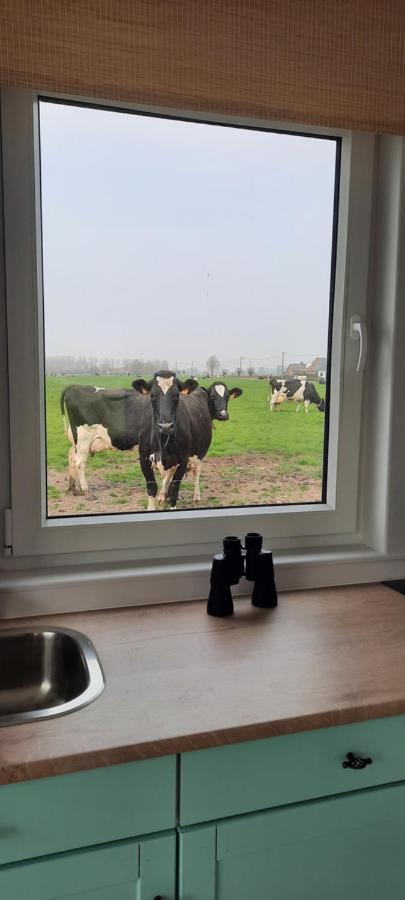 Вилла La Vache Au Lit Дамме Экстерьер фото
