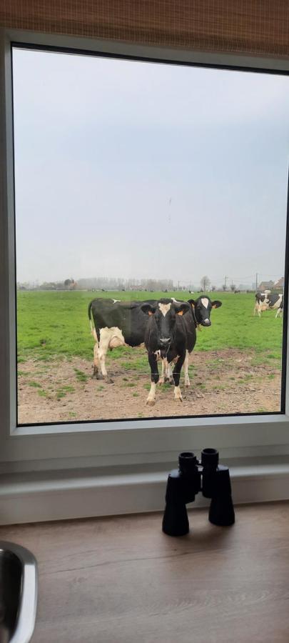 Вилла La Vache Au Lit Дамме Экстерьер фото